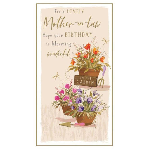 Picture of FOR A LOVELY MOTHER IN LAW BIRTHDAY CARD